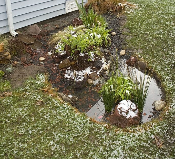 A small garden with plants, rocks, and a stream. Light snow is on the ground and plants.