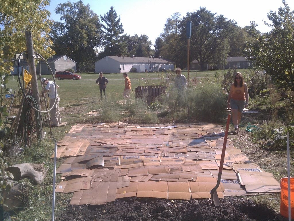 People working in a garden, laying cardboard on the ground, with tools and plants around under a clear sky.