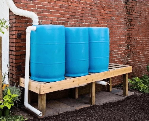 Three blue rain barrels on a wooden stand, connected to a gutter downspout against a brick wall.