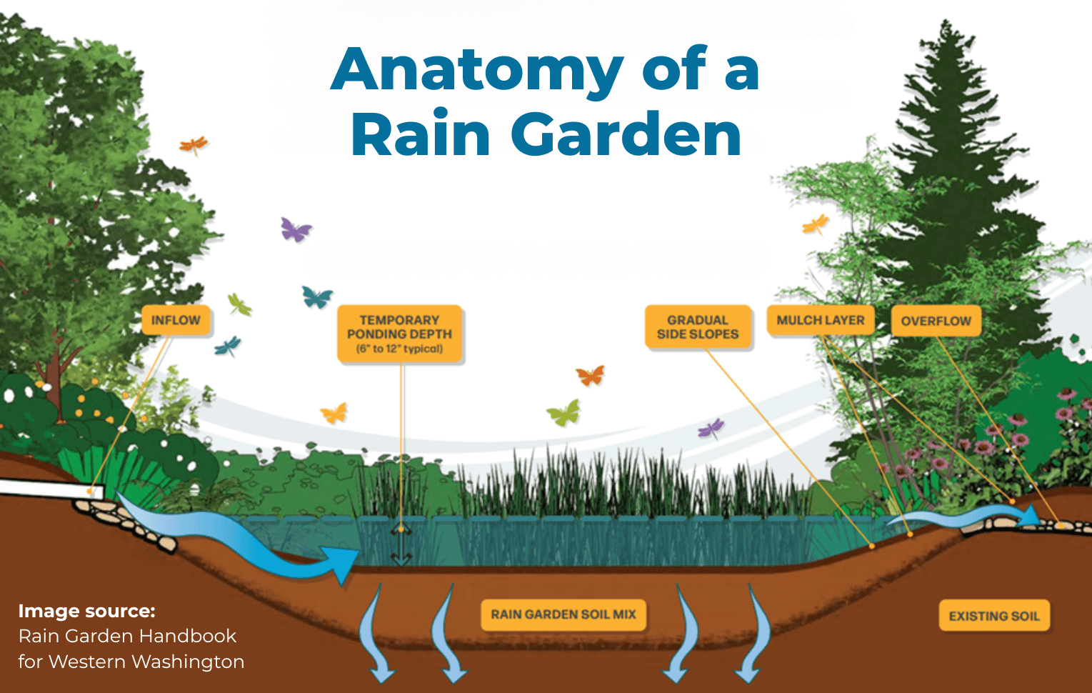 Diagram showing a rain garden's components: inflow, ponding depth, side slopes, mulch, overflow, soil mix, and existing soil.