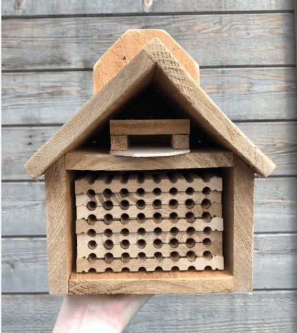 A wooden insect hotel with multiple drilled holes, held by a hand against a wooden background.
